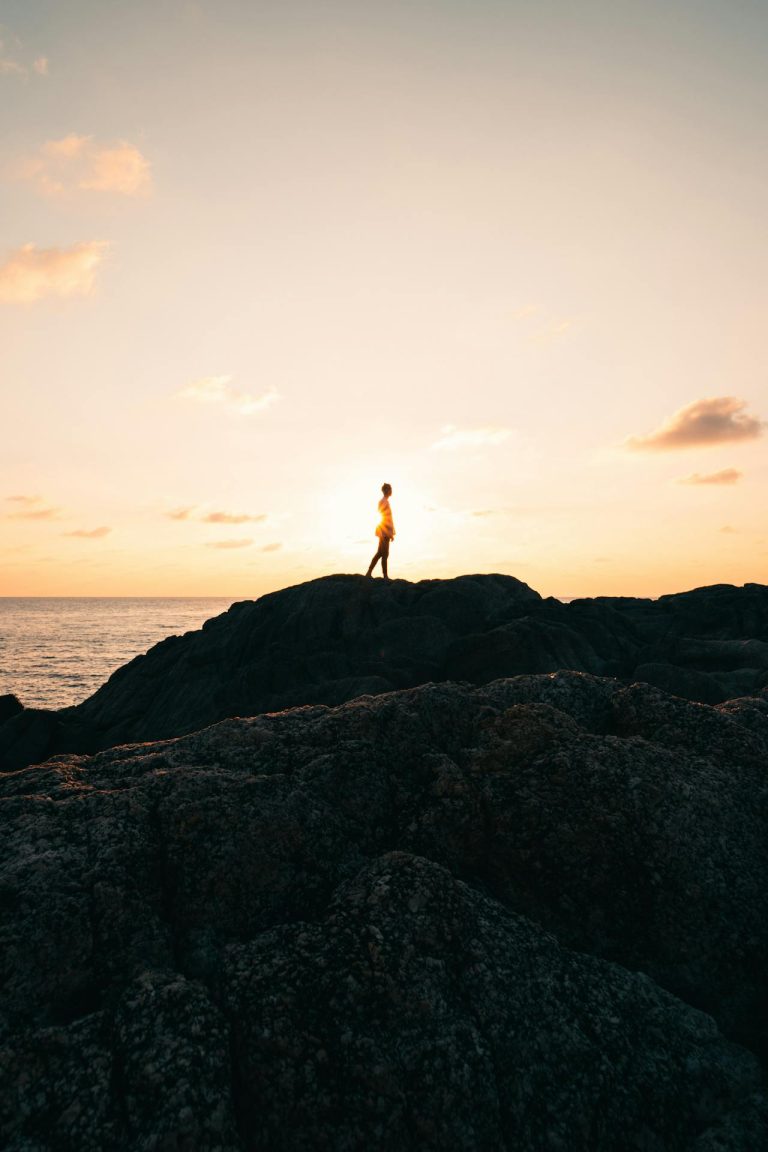 pexels-stijn-dijkstra-1306815-2499799